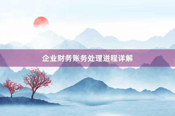 企业财务账务处理进程详解