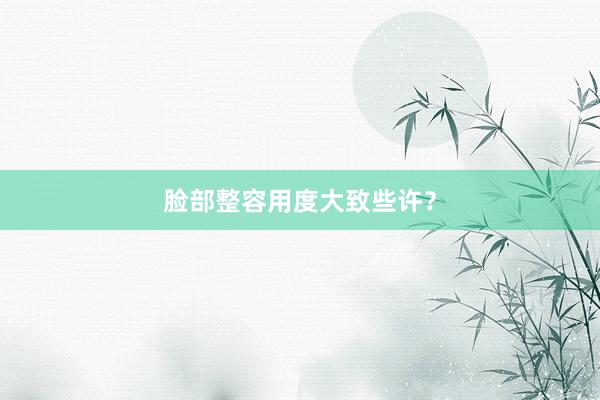 脸部整容用度大致些许？